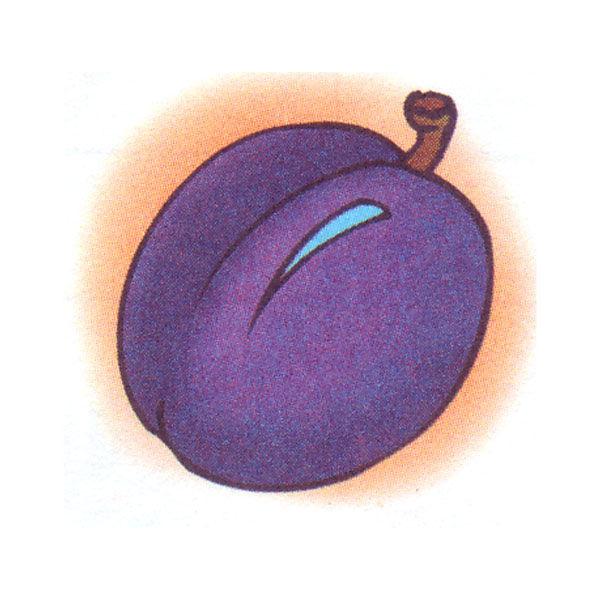 Слива