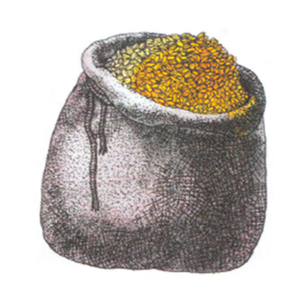 Зерно