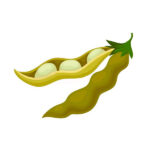 Біб