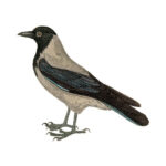Ґава