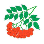 Горобина