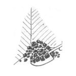 Куток