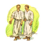 Брати